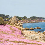 The 2012 Annual Meeting will be held in Monterey