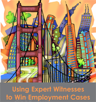 2017-08-10_using-expert-witnesses_title